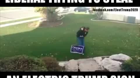 Leftist trying to steal a trump yard sign