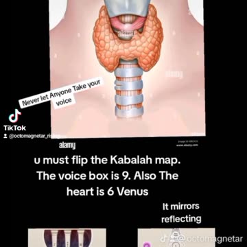 Secrets of The Throat