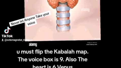 Secrets of The Throat