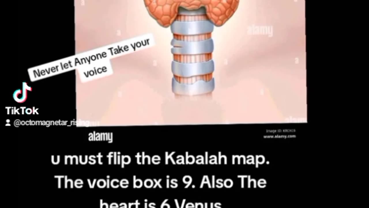 Secrets of The Throat