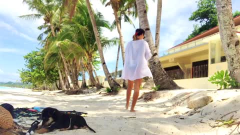 Beach day with cute doggies I BORACAY 2022