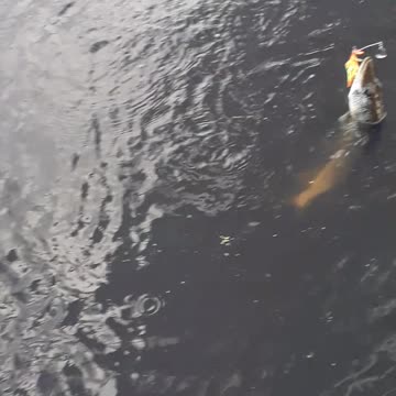 Colossians 3:17 in action