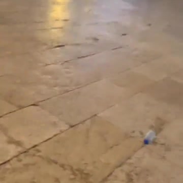 Israeli occupation soldier attack a #Palestinian female journalist inside Al-Aqsa, Jerusalem...