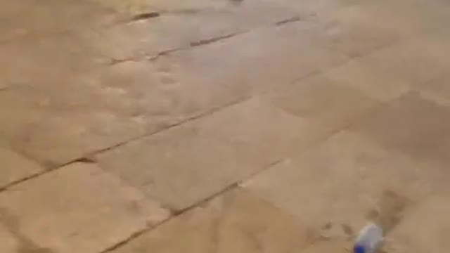 Israeli occupation soldier attack a #Palestinian female journalist inside Al-Aqsa, Jerusalem...