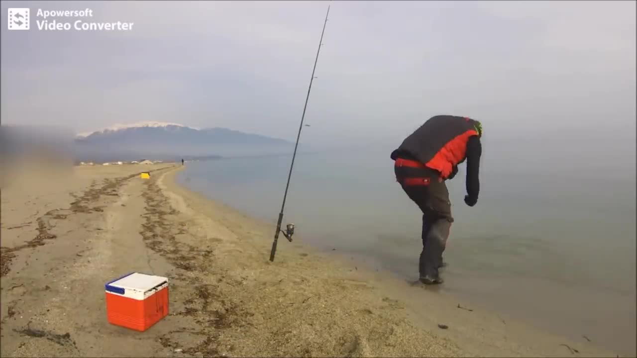 όταν οι σουπιές είναι στα ρηχά ..