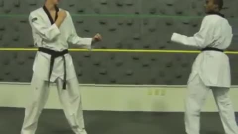 Taekwondo Sparring Techniques