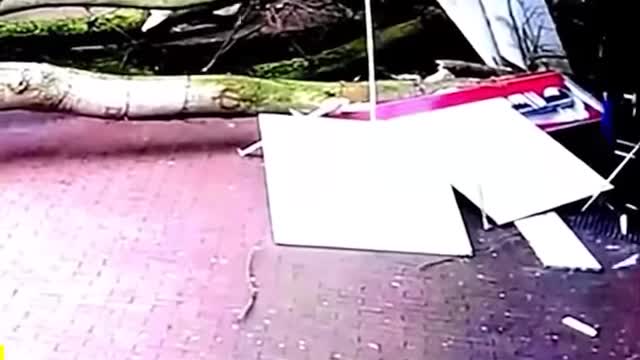 THAT WAS CLOSE!! 😱