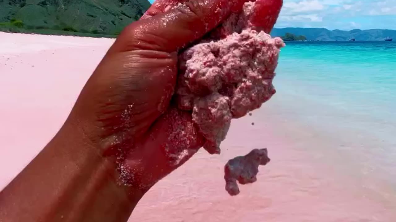 Indonesia's most famous pink beach is on Padar Island in Komodo National Park