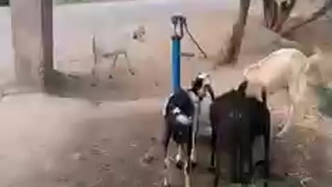 Miracle video water coming from hand pump without person