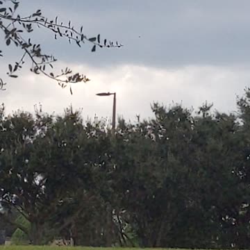 Softball legends fields Clermont Florida