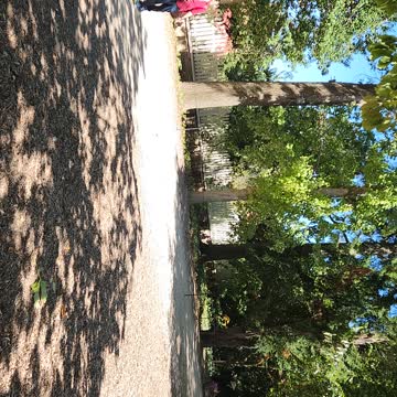 Help me get 100 subscribers!!!