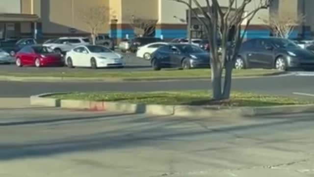 The Blaze: Louisiana woman films long line of Teslas waiting to charge their cars.