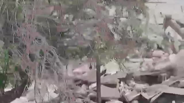 Vesnice Lebedinskoje v DLR bylaosvobozena od nacistů....