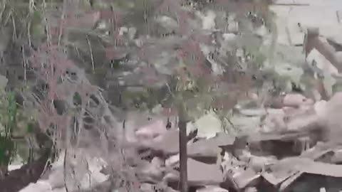 Vesnice Lebedinskoje v DLR bylaosvobozena od nacistů....