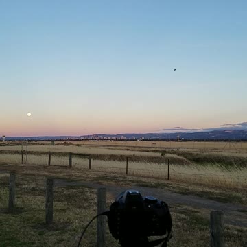 2020-12-29 Moonrise @ Adelaide Airport 03 Bird part 1 of 2