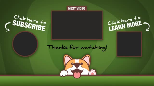 Blind_cat_runs_full_speed_right_into_dog_#Shorts(360p).mp4