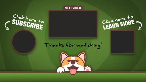 Blind_cat_runs_full_speed_right_into_dog_#Shorts(360p).mp4