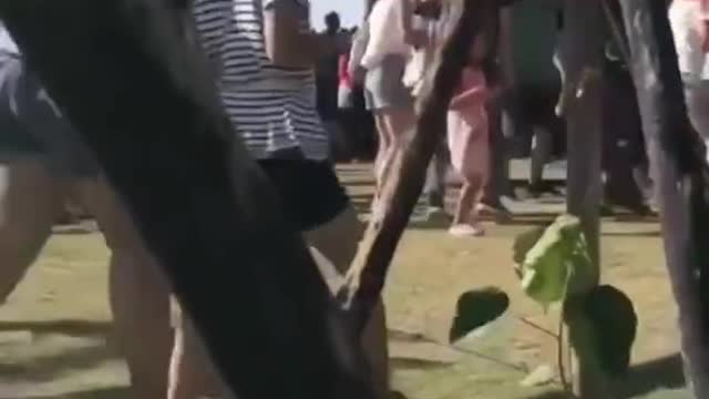 Child lifted meters into the air by giant kite at Taiwan festival