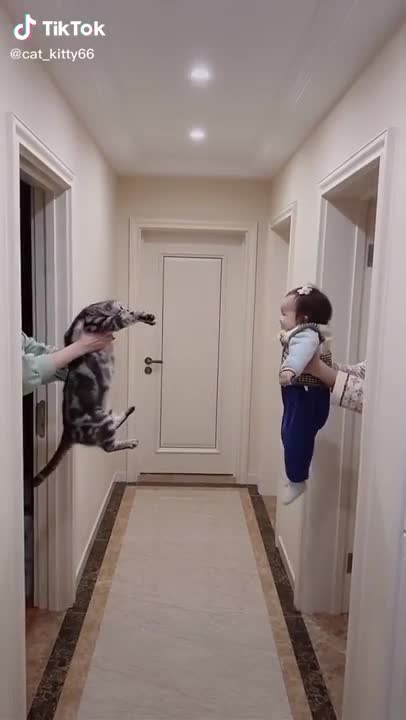 Cute cat and cute baby video | funny viral video