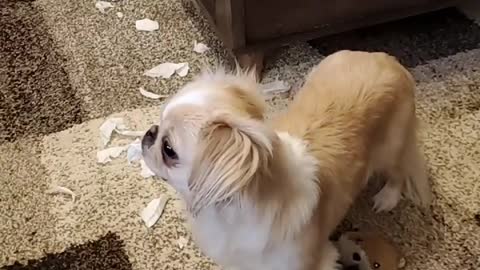 Tissue Monster Strikes Back