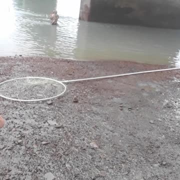 Kenai River Dipnetting, I got 8 eventually that day. July 25, 2022