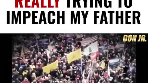 Don Jr: This is Why They're Really Trying To Impeach My Father