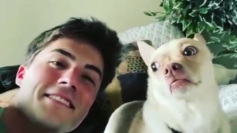 Funny Dog