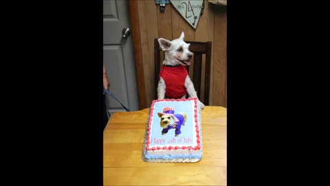 7-1-2018 - 4th of July Cookout At Home