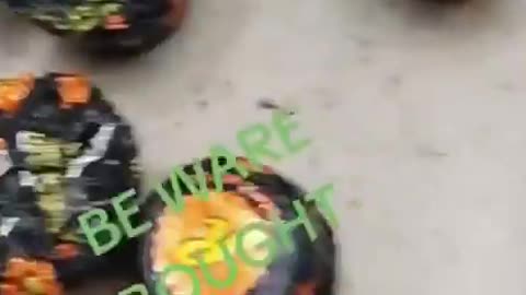 HCNN -THIS IS JUST NASTY...