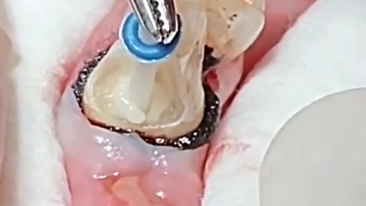 Dentist