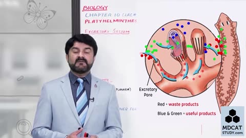 LEC#7 PLATYHELMINTHES (PART-B)