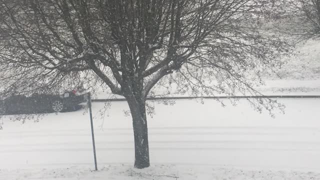 Paducah Ky.