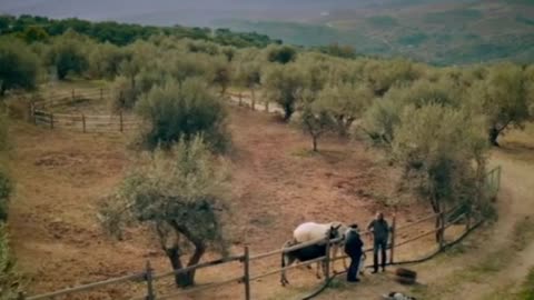 The Attack on Medical Ethics and Mankind: Dr. Robert Malone - Headwind 2 Trailer