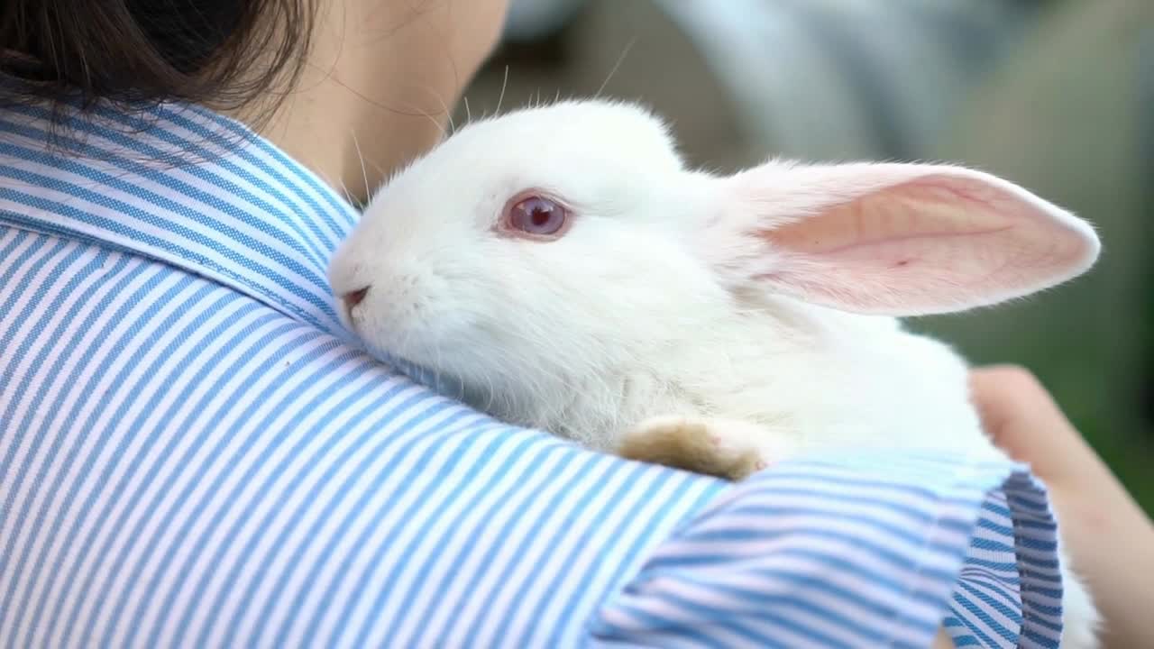 girl holding and petting a rabbit