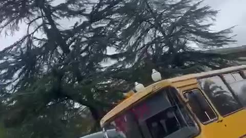 В Абхазии комплекс правительственных зданий оцеплен школьными автобусами