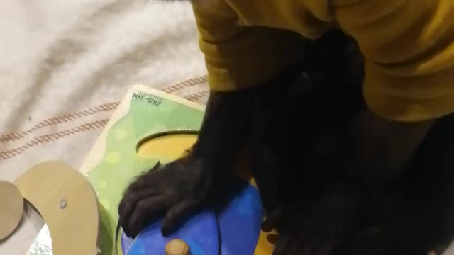 Мирон и пазл