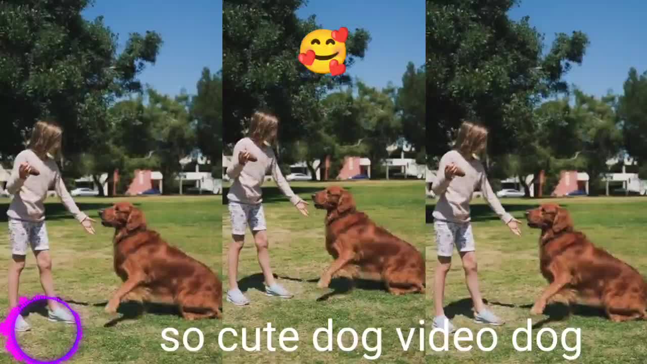 so cute🥰 dog video dog 🫣