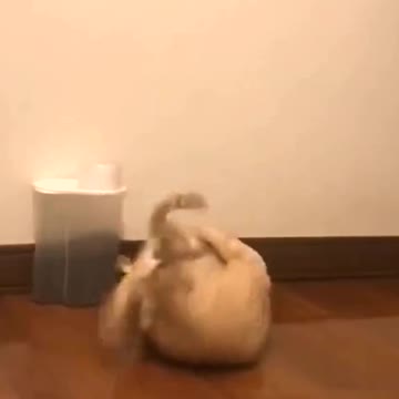 This is a buried genius.