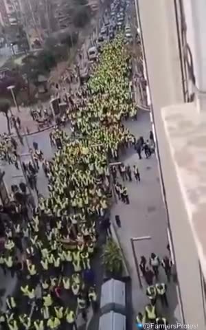 Spain - Mass turnout in support of Spanish farmers taking on their socialist government...