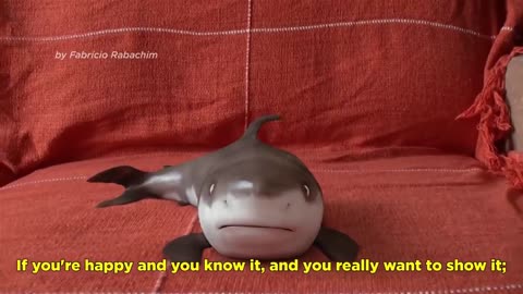 Cutest Baby Shark Happy Shark Funny Shark