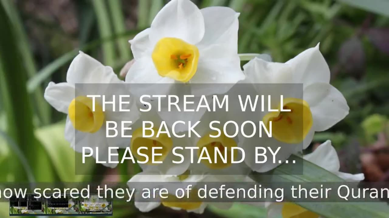 11th Feb 2024 Live Stream Pt2