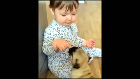 Cute Dog With Kid / niedlicher Hund mit Kind