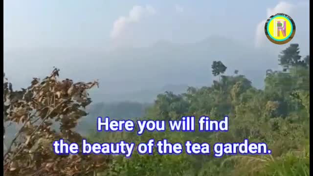 Journey to Cianten Tea Garden, Bogor, Indonesia