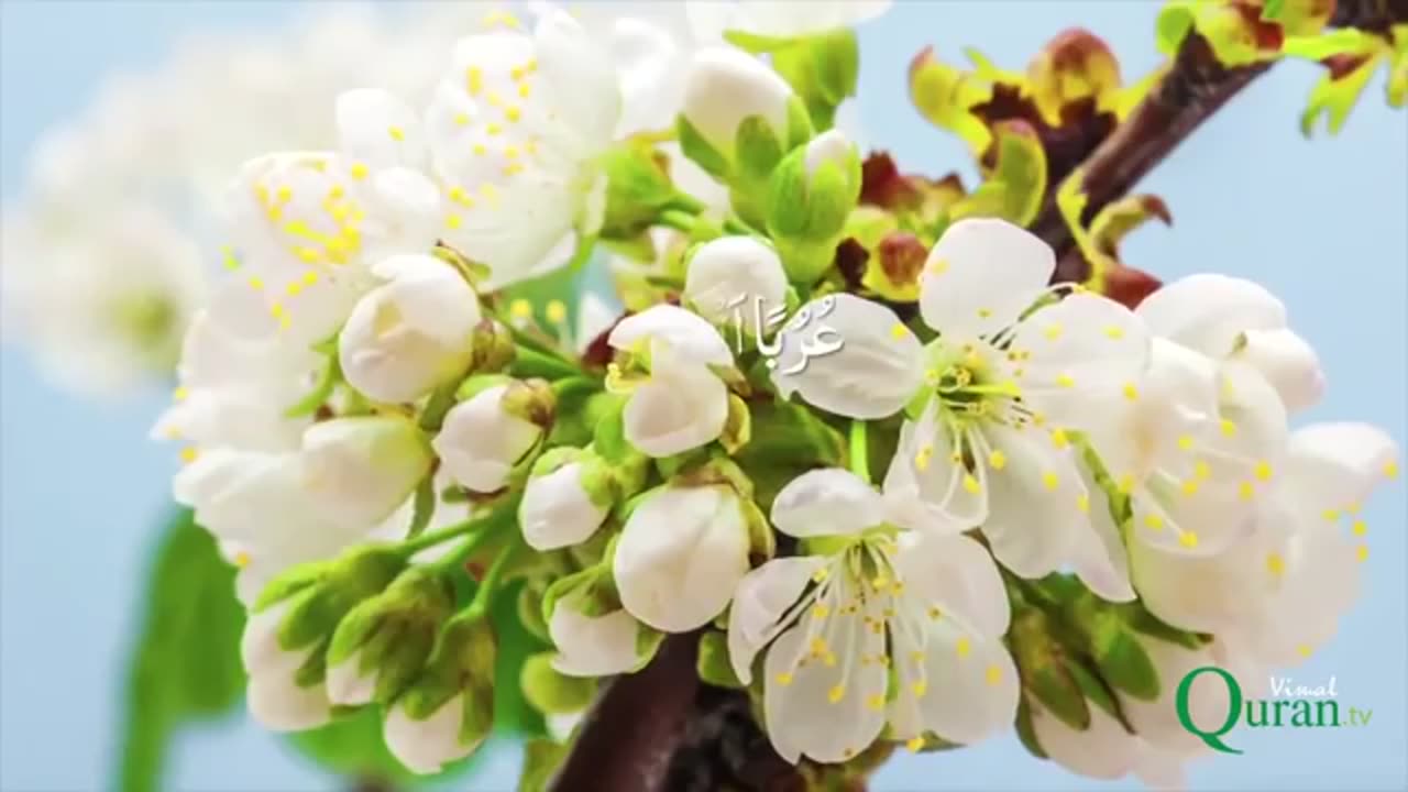 سورة الواقعة