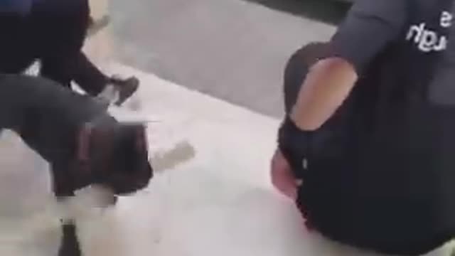 Funniest_cat_and_dog_video!! Part 20