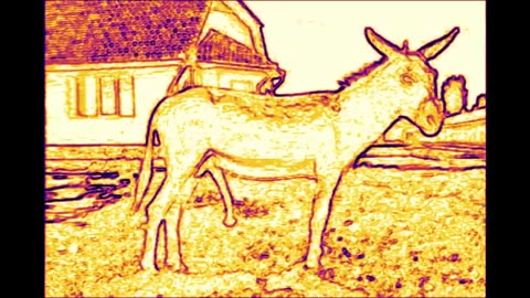 Donkey Dong Hypnosis