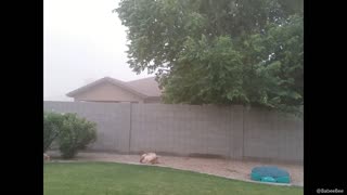 Slight Haboob