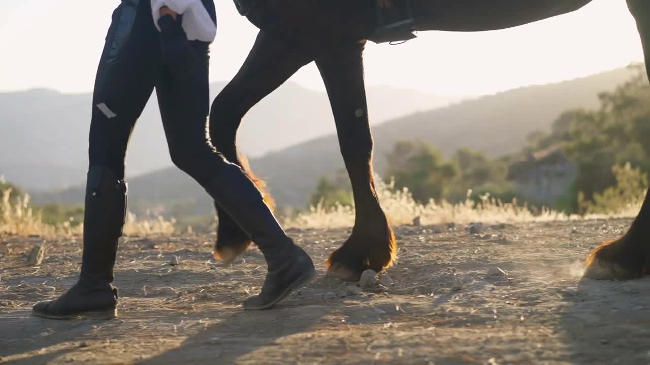 Side view legs of unrecognizable woman and horse walking