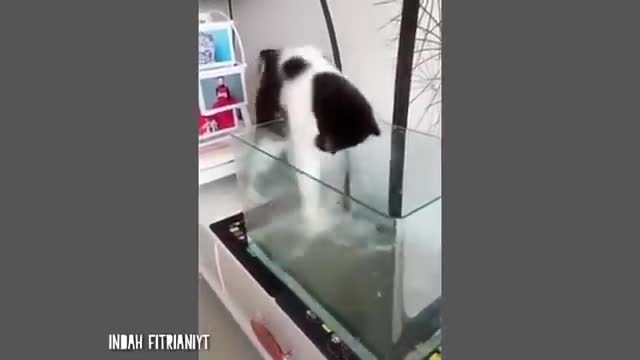 funny events in everyday life