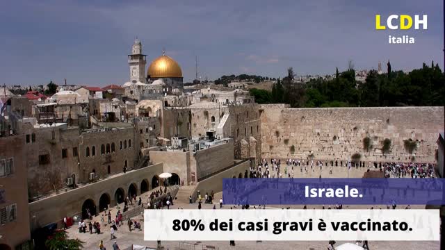 Israele. L'80% dei casi gravi è vaccinato.